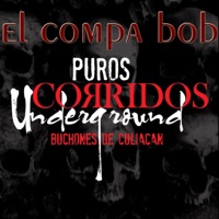 El Compa Bob - Single - Los Buchones de Culiacan