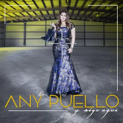 Y Sigo Aquí - Single - Any Puello