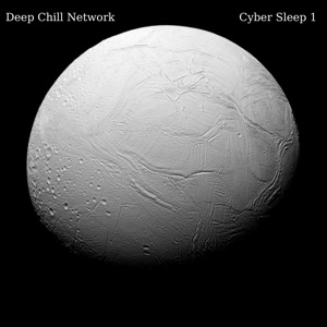 Cyber Sleep 1
