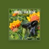 Anneke van Hoof