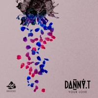 Your Love - Single - Danny T