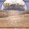 Wytch Hazel - Freedom Battle