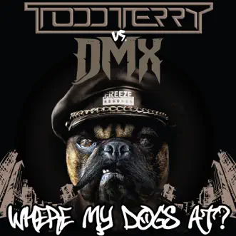 Where My Dogs At? by Todd Terry & DMX song reviws