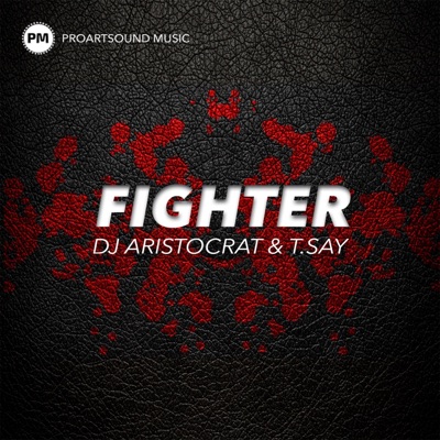 Fighter - Single