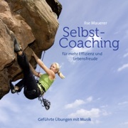 Selbst-Coaching für mehr Effizienz und Lebensfreude - Ilse Mauerer