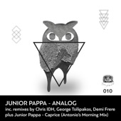 Analog (Chris IDH Remix) artwork