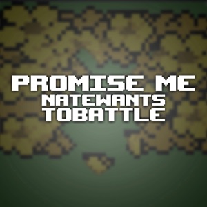 Promise Me - Single
