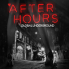 Global Underground: Afterhours - Various Artists