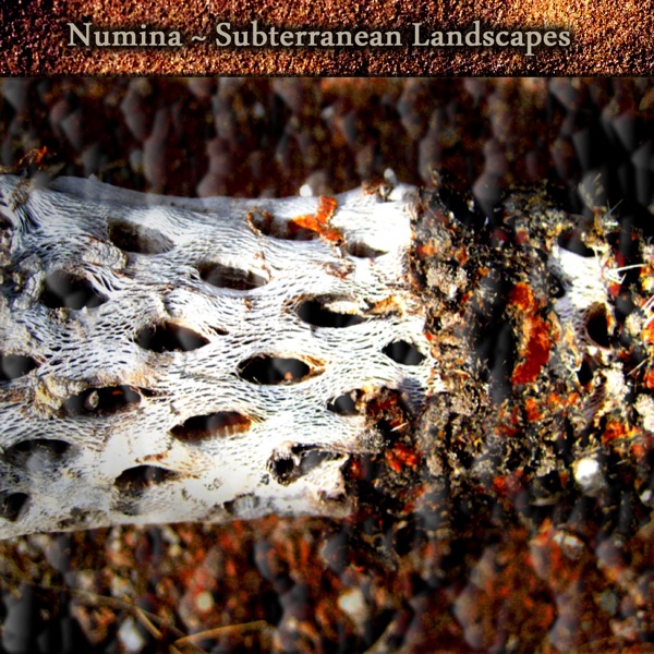 Subterranean Landscapes - Numina