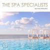 The Spa Specialists: Spa Music Relaxation for Wellness Center with Ambient Background Music