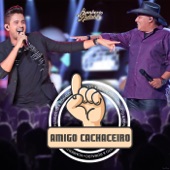 Amigo Cachaceiro (Ao Vivo) artwork