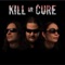 For You - Kill or Cure lyrics