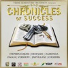 Chronicles of Success