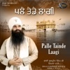 Palle Tainde Laagi - Single