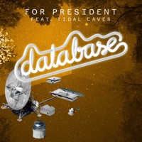 For President (feat. Tidal Caves) - EP - Database