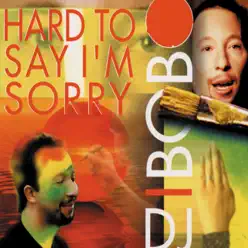 Hard to Say I'm Sorry - EP - Dj Bobo