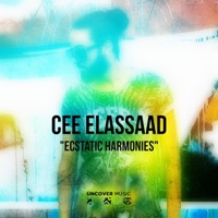 Ecstatic Harmonies (Spiritual Mix) - Single - Cee ElAssaad