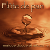 Flûte de pan - Messiers Lament