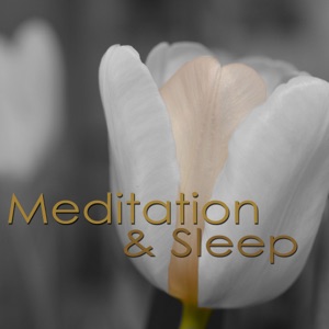 Meditation & Sleep – Zen Music Relaxing Sleeping Mindfulness Meditation Music, Peaceful Mind Music for Good Night, Sleeping & Dreaming