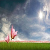 Tabitha Manuel - Walk with Me Jesus