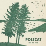 Polecat - Marmot