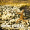 Trouble Boy (feat. Ear aka Demba Nabé) - Micatone lyrics