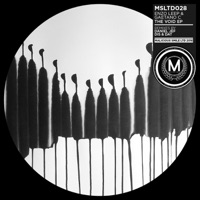 The Void EP - Enzo Leep & Gaetano C