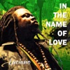 In the Name of Love - Single