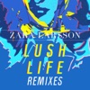 Start:14:22 - Zara Larsson - Lush Life