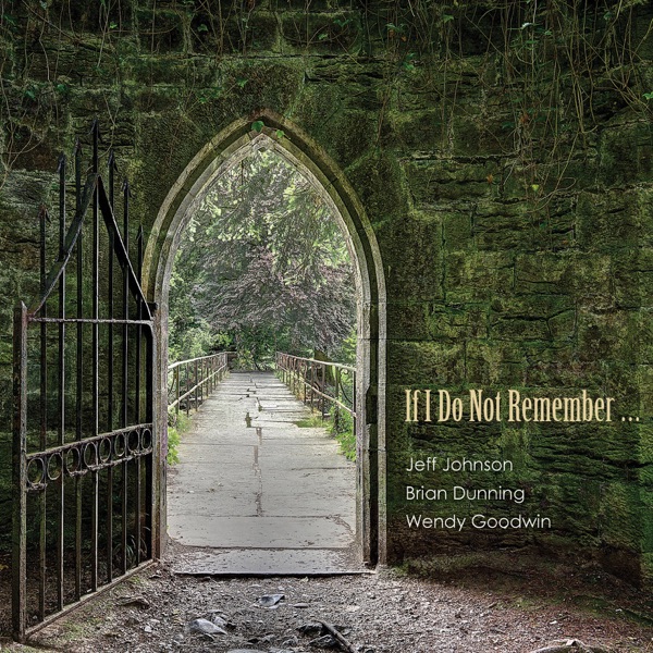 If I Do Not Remember ...