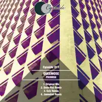 Promise (Dave Pad Remix) — Queemose