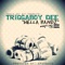 Hella Bandz - TriggaBoy Dee lyrics