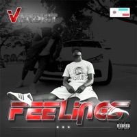 Feelings - Single - Verdict