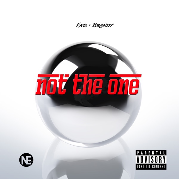 Not the One (feat. Brandy) - Single - Fats