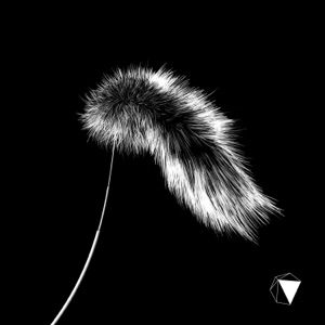 FoxBrush - Single