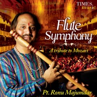 Flute Symphony - EP - Ronu Majumdar