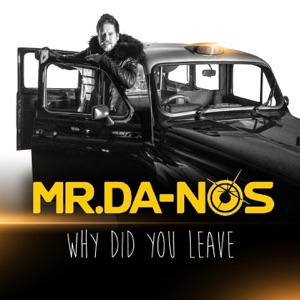 Why Did You Leave - Single
