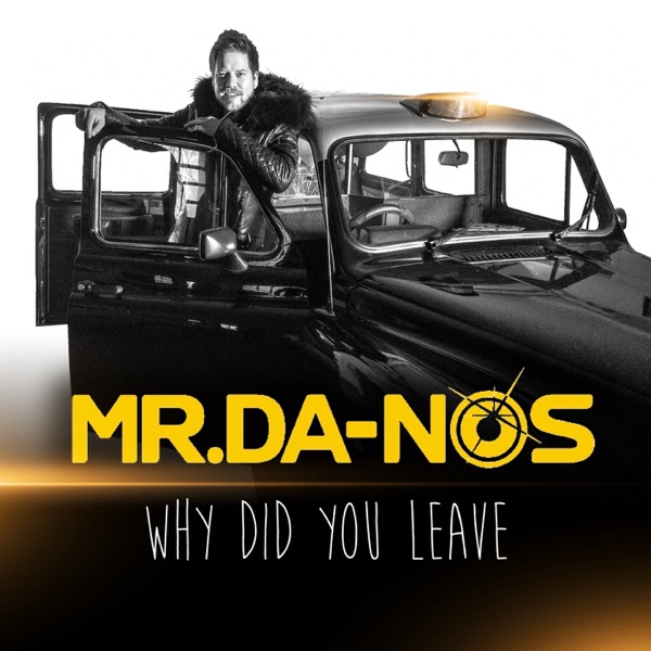 Why Did You Leave - Single