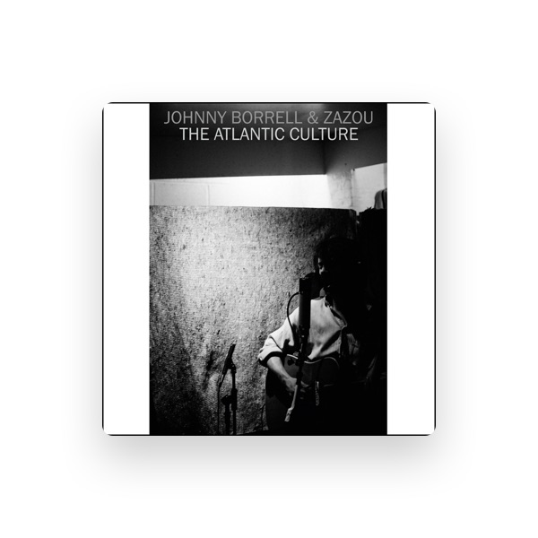 Johnny Borrell's avatar