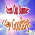 I Say Goodbye song reviews