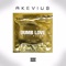 Dumb Love (feat. Plies) - Akevius lyrics
