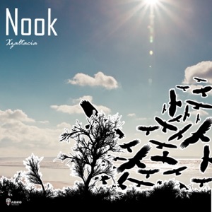Nook - Single