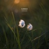 Kvelertak Kvelertak (feat. Kjetil Mulelid & Emilie Storaas) Hverdagene (feat. Kjetil Mulelid & Emilie Storaas)