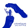 Surnatural Orchestra