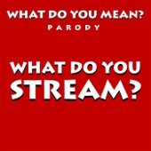 What Do You Mean? Parody What Do You Stream? artwork