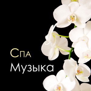 Спа Музыка - Оздоровительный Комплекс Центр, Сауны Фоновая Музыка