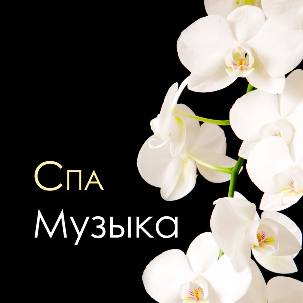 Спа Музыка - Оздоровительный Комплекс Центр, Сауны Фоновая Музыка