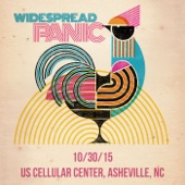 Widespread Panic - Steven's Cat