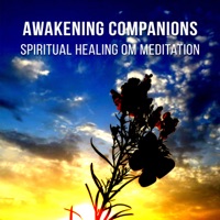 Awakening Companions: Spiritual Healing Om (Aum) Meditation Yoga Music - Om Meditation Music Academy