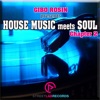 Gibo Rosin presents House Music Meets Soul: Chapter 2